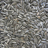 Strimmigt Solrosfrö, 15 kg