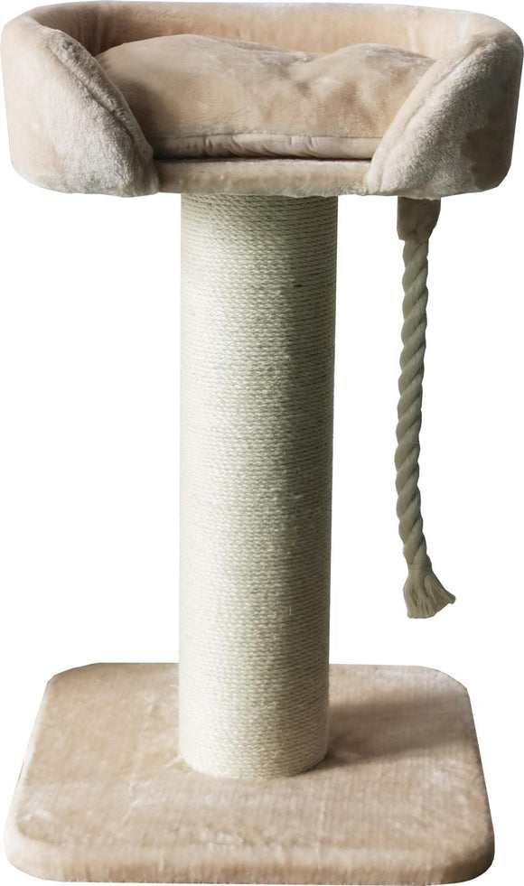 Companion Cat Lion, klösbräda S - 60x60x100 cm