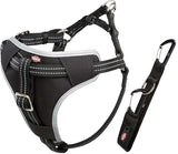 Bilsele Dog Protect, M: 50-65 cm/20 mm, svart