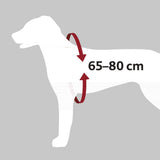 Bilsele Dog Protect, L: 65-80 cm/25 mm, svart