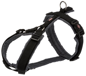 Premium spårsele, M: 53-64 cm/20 mm, svart/grafit