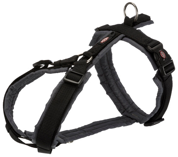 Premium spårsele, M: 53-64 cm/20 mm, svart/grafit