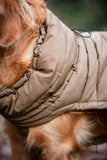 CATAGO FIR-Tech puffer Hundtäcke Kangaroo