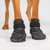 Back On Track "Koda" Hundsocka Svart