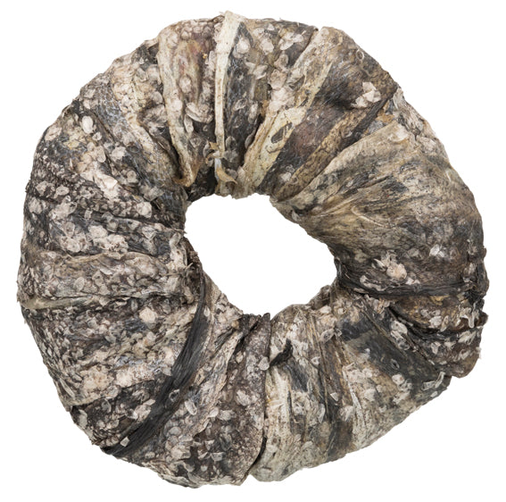 Denta Fun Tuggring, fisk ø 10 cm