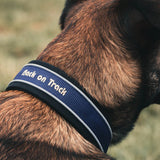 Back On Track "Charlie" Hundhalsband Blå