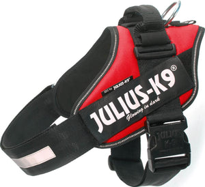 IDC Julius-K9 sele Str. 2: 71-96 cm Röd