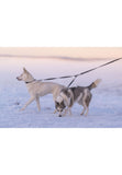 Rukka Bliss Rotating 2 Dogs Extension M