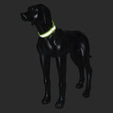 Rukka Pets reflex halsband