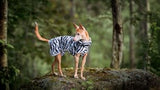 Rukka Pets Zebra cooling jacket