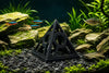AQV Räkpyramid - M - 70mm - Svart