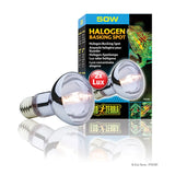 Halogen Basking Spot 50w R20 E27 Exoterra