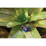 Bromelia M Exoterra