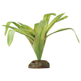 Bromelia M Exoterra