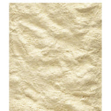 Handuppmatning A21 800gr Nutribird 21% Protein