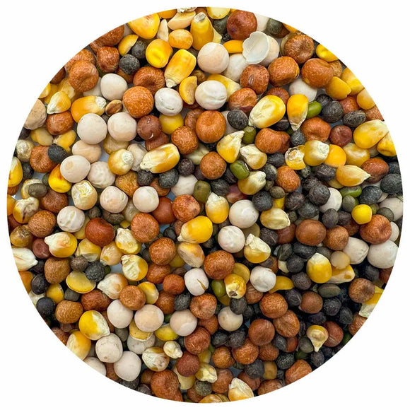 Groddblandning 500g