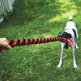 Kong Signature Ropedual Knot 57x14x5cm