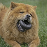 Kong Dog Donut Extreme L/XL