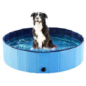 Dog Pool 80x20cm Ozami Blå