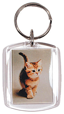 Nyckelring med kattmotiv