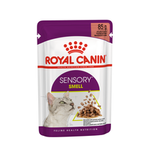 RC Sensory smell Gravy 85g