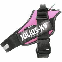 IDC SELE, 82-118 CM Julius Rosa