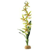 ORKIDÉ REGNSKOGSVÄXT EXOTERRA 13x8x43CM