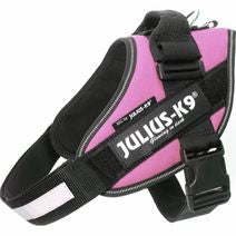  IDC SELE, 66-85 CM NR 1 ROSA