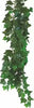 Terra planta Hedera helix - 70 cm