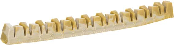 Denta Fun Veggie Jaw Bone, 22 cm