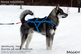 Neewa Adjustable - Dragsele Svart