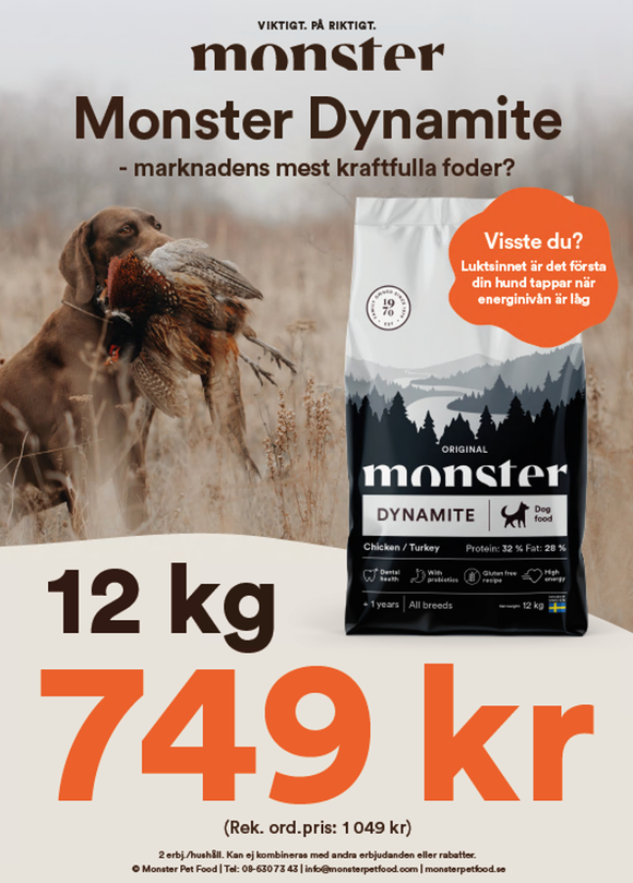 Kampanj Monster Dynamite 12kg