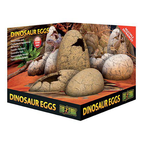 GROTTA DINOSAURIE ÄGG EXOTERRA