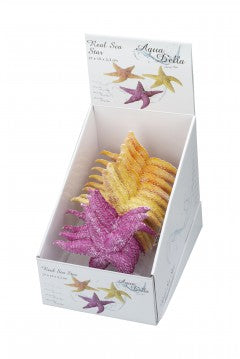 Aqua Della - Real Sea Star Assorted - 17x15x2cm