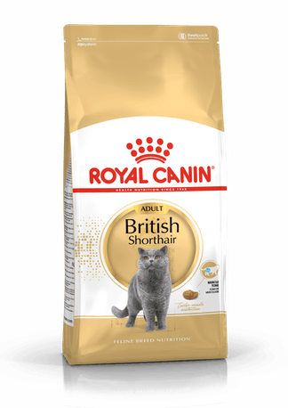 RC British Shorthair Adult 2 kg