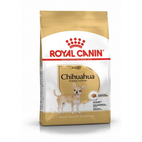 RC Chihuahua 3 kg