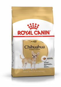 RC Chihuahua 1,5 kg