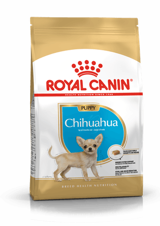 RC Chihuahua Puppy 500 g