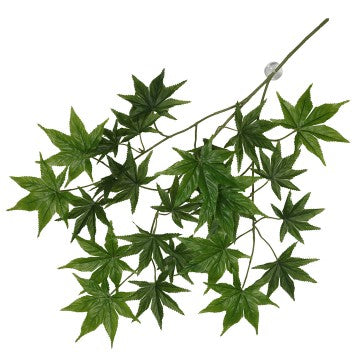 Hängväxt Terra Della - Cannabis - 65x40x5cm - Grön