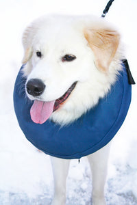 Hundkrage PetNation, uppblåsbar, nr 6, 45-57 cm, blå