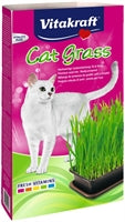 Kattgräs med groddlåda 120g