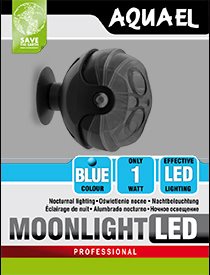 Lighting Moonlight LED