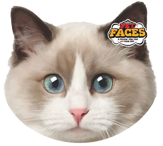 Prydnadskudde Ragdoll huvud