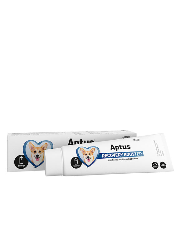 Aptus Recovery Booster 100g