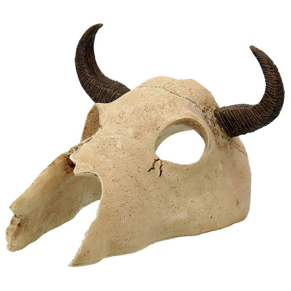 Small Buffalo Skull