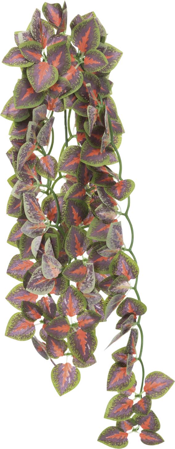 Silkesväxt hängande, folium perillae 20 × 50 cm
