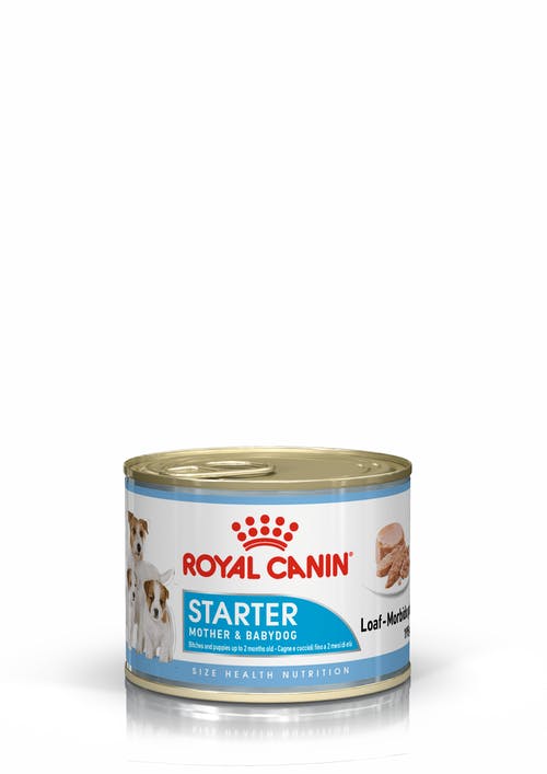 RC Starter Mousse Mother & Babydog 195g