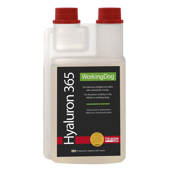 WD HYALURON 365 500ML