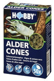 Alder Cones alkotte 50-pack