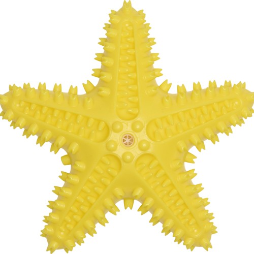 Companion chewing star toy